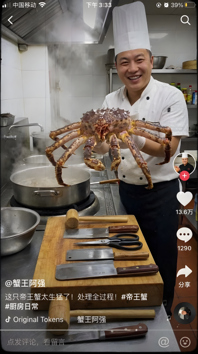 Fake Tiktok Screenshots